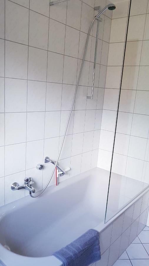Naehe Mainz - Ferienwohnung - Apartment Breivogel In Woerrstadt Екстер'єр фото